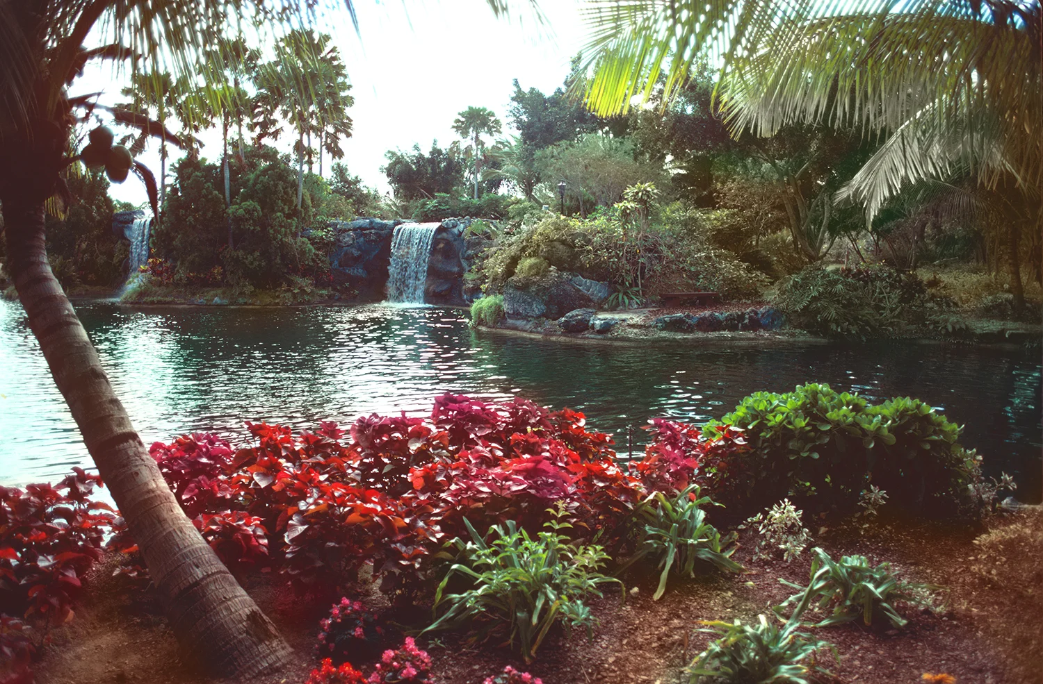 Paradise Gardens
