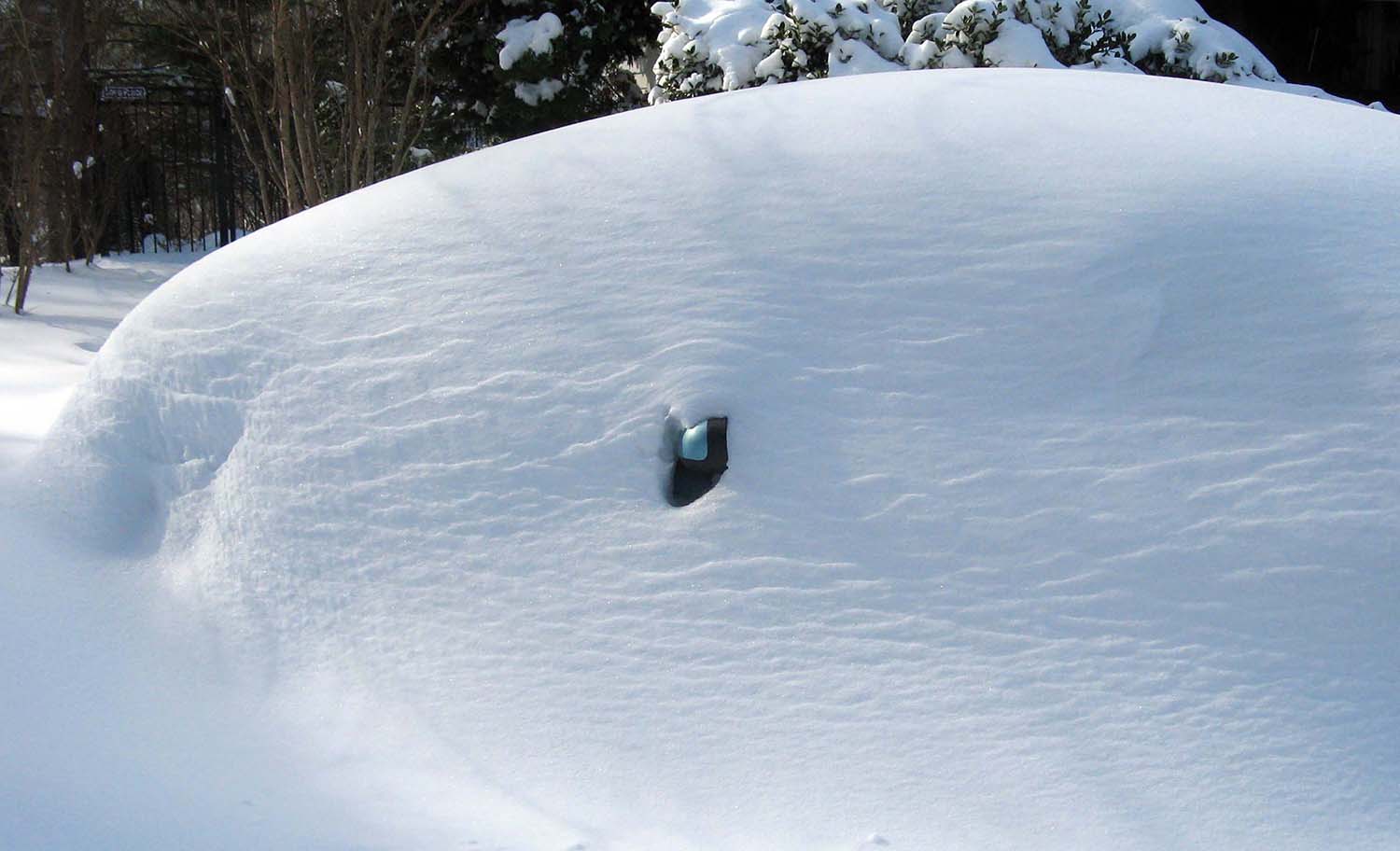 Thunderbird in Hiding