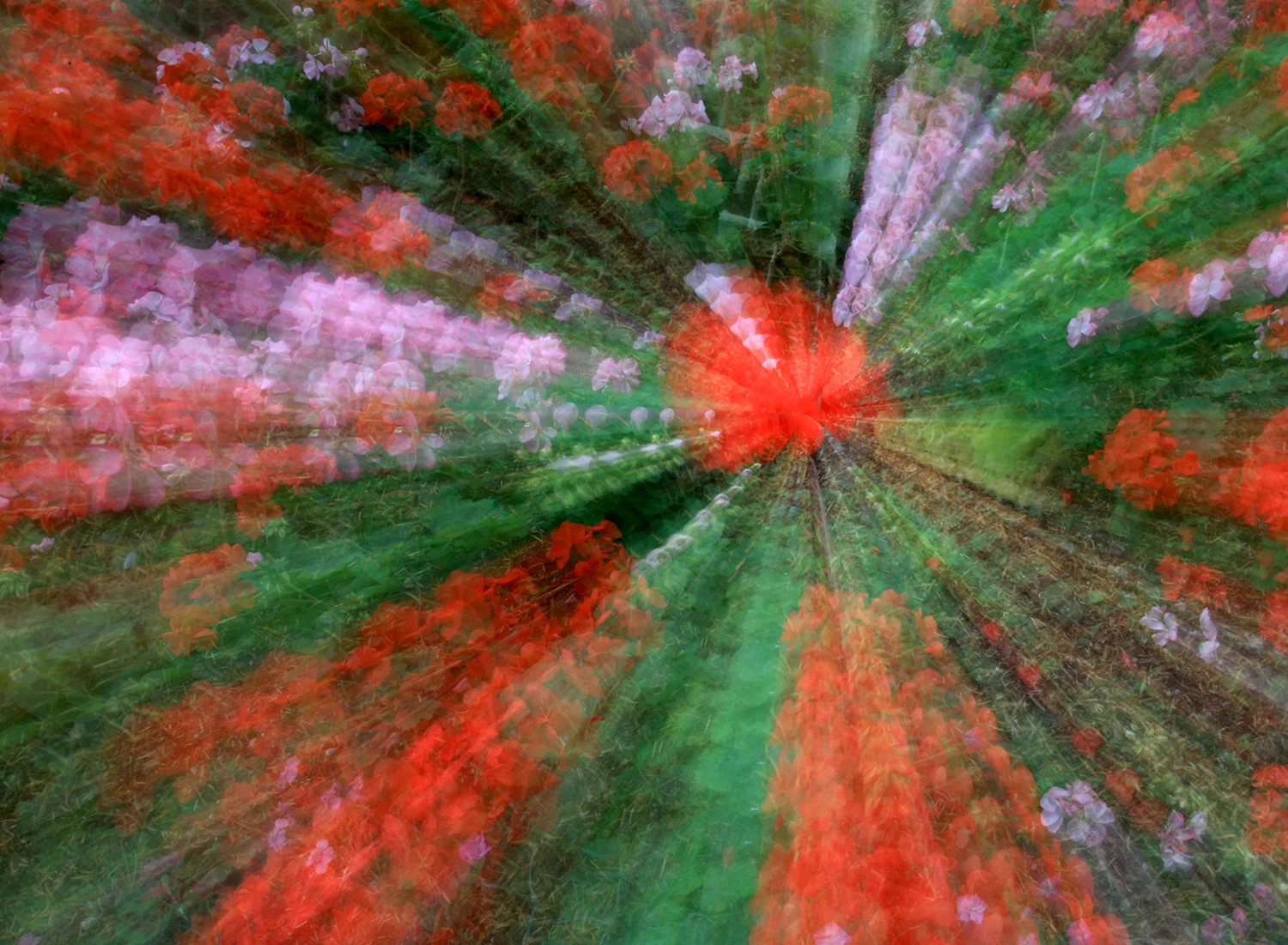 Monet's Magic