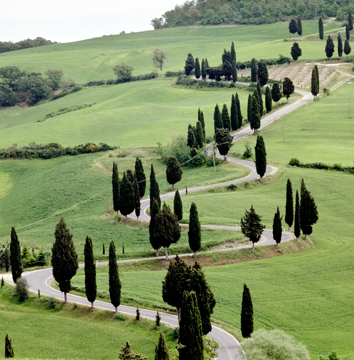 Classic Tuscan Road