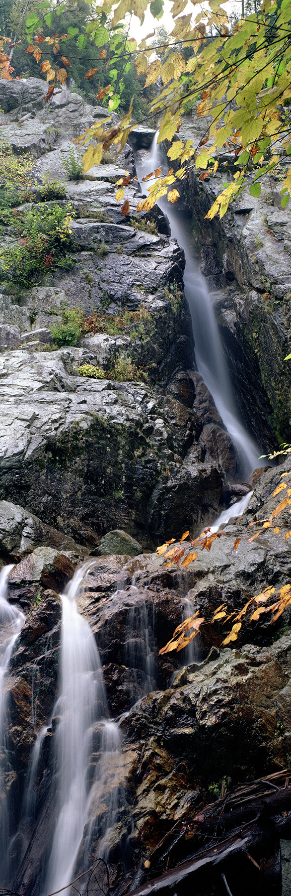Falling Water