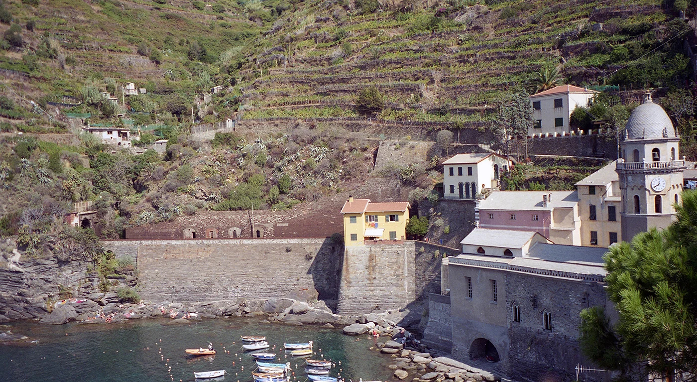 Vineyard of Vernazza