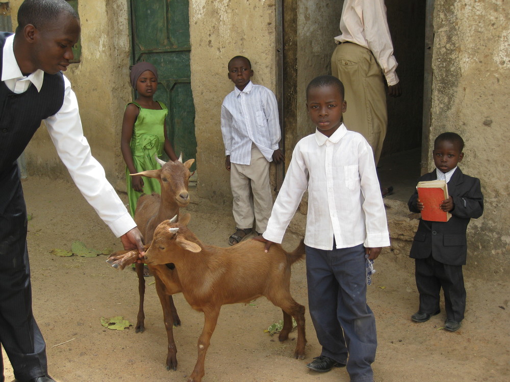 Call+of+Hope+-+The+Goat+Project.jpeg