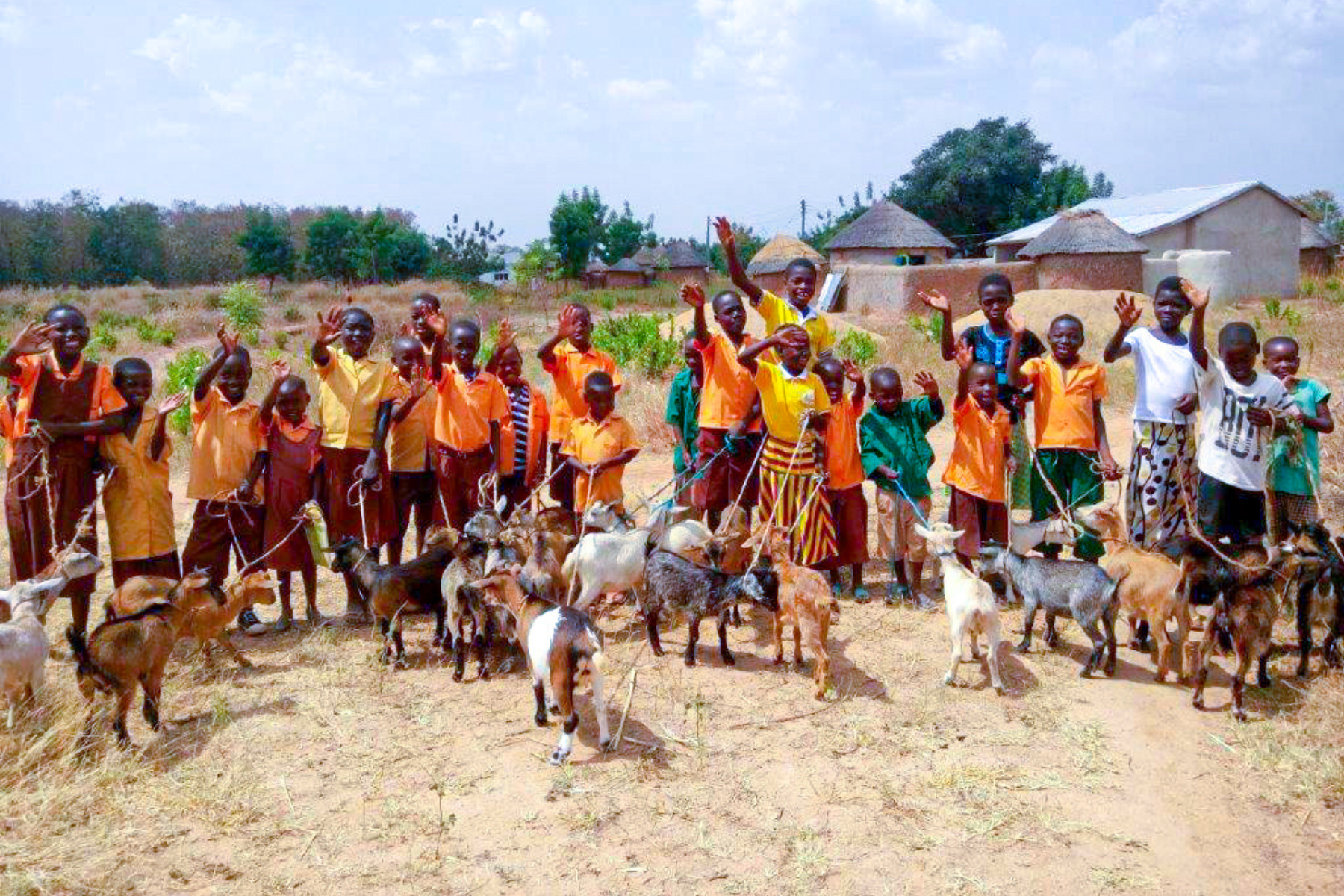   The Goat Project   Bringing help and hope to Africa’s children.    Learn more   