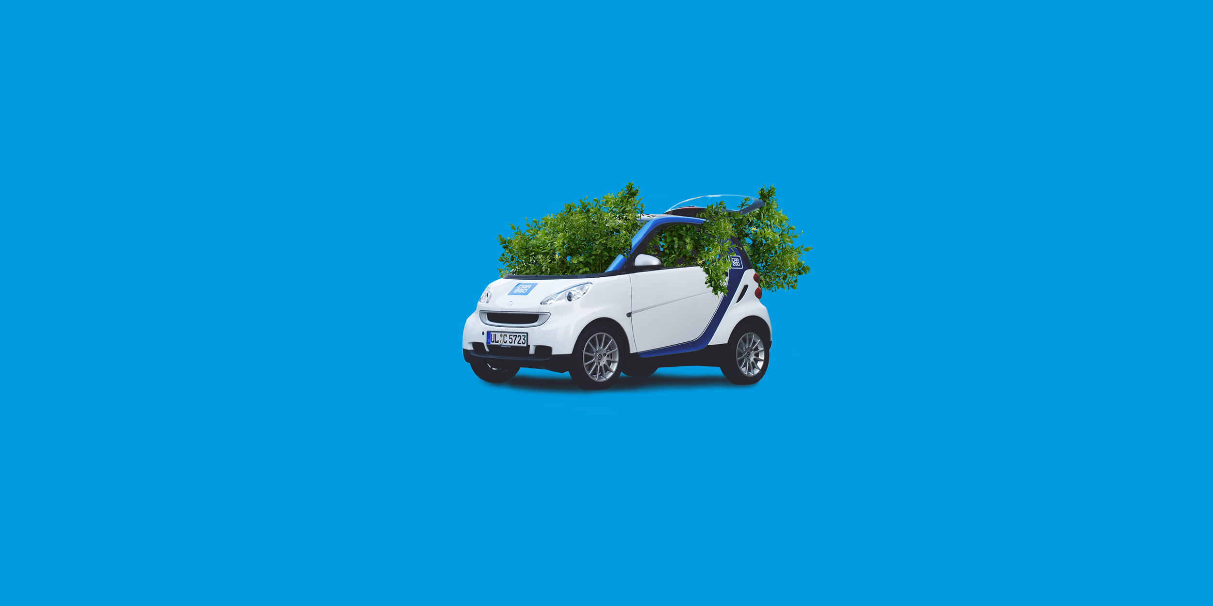 car2go.png