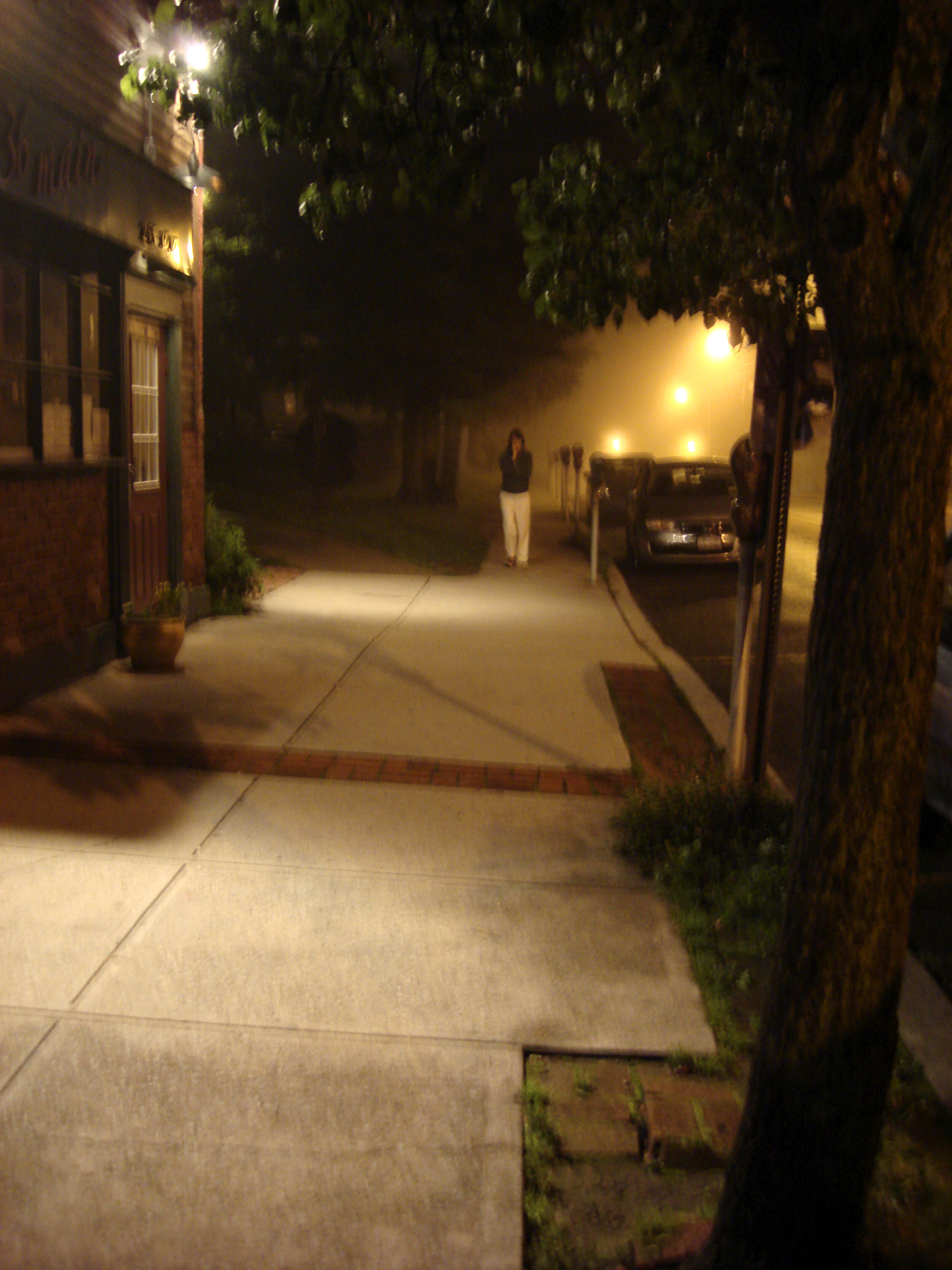 summernight.jpg