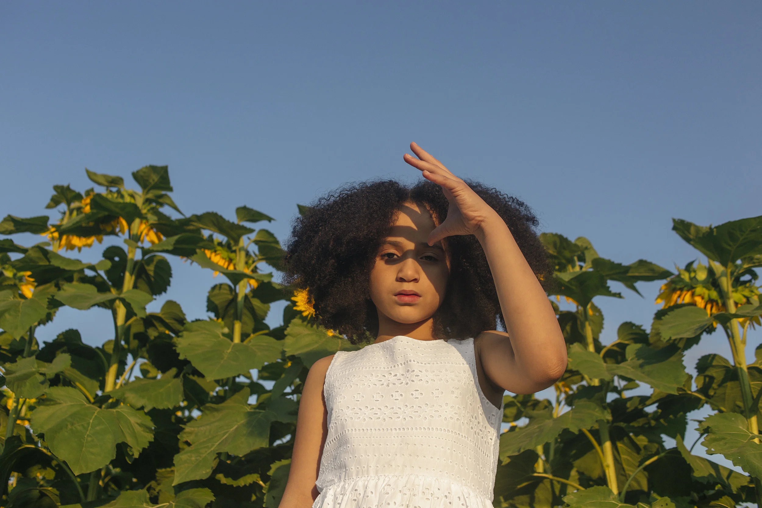 Ley_Sunflower-8.jpg