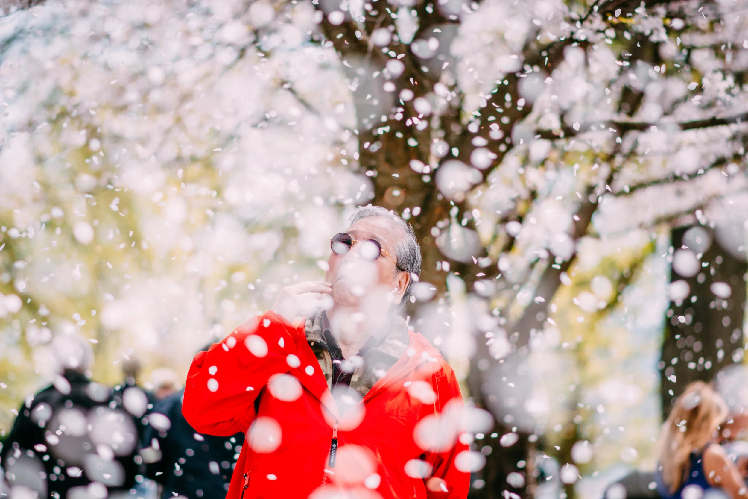 Sakura Blog-7.jpg