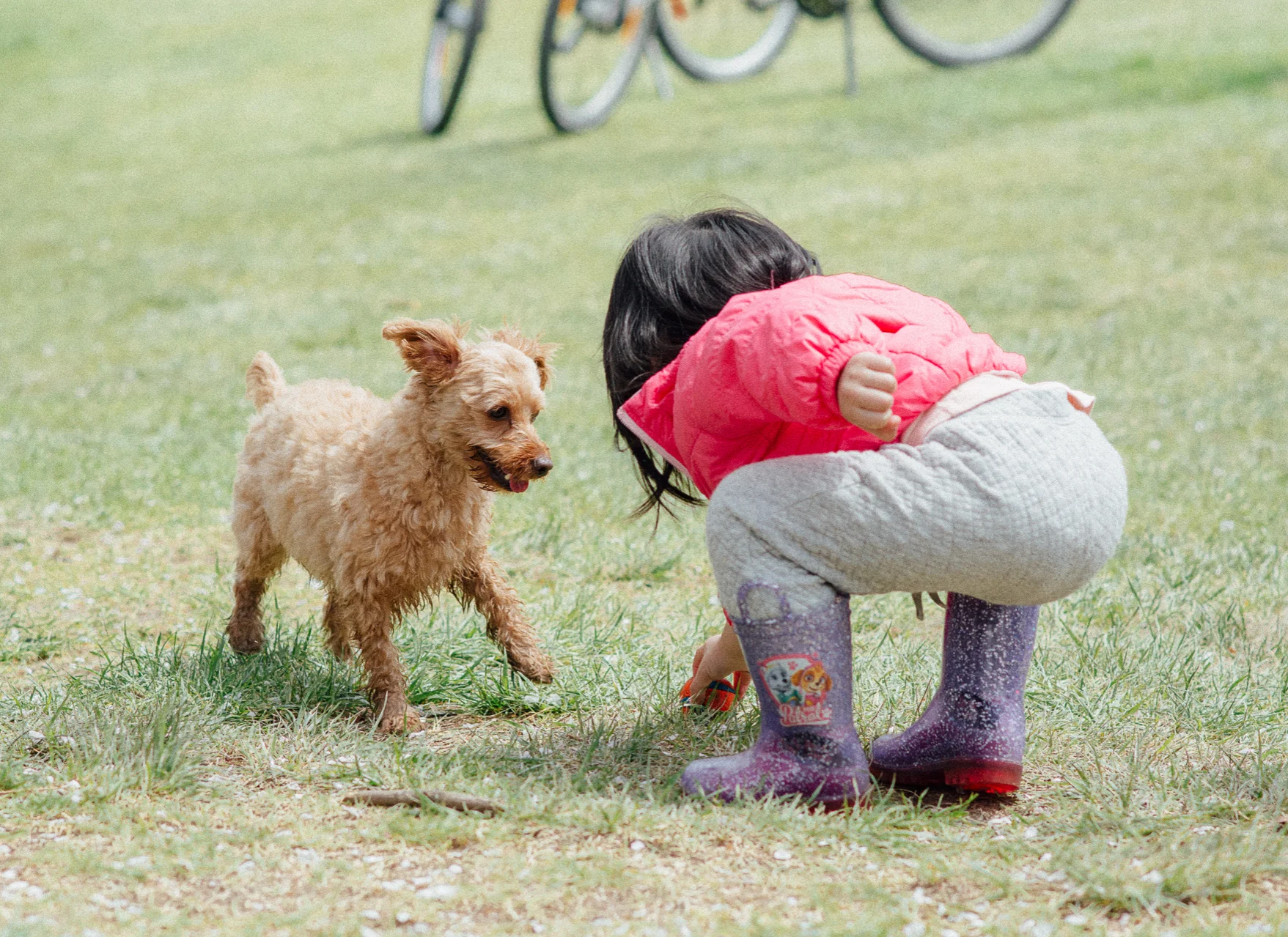 Pupper & Girl.jpg