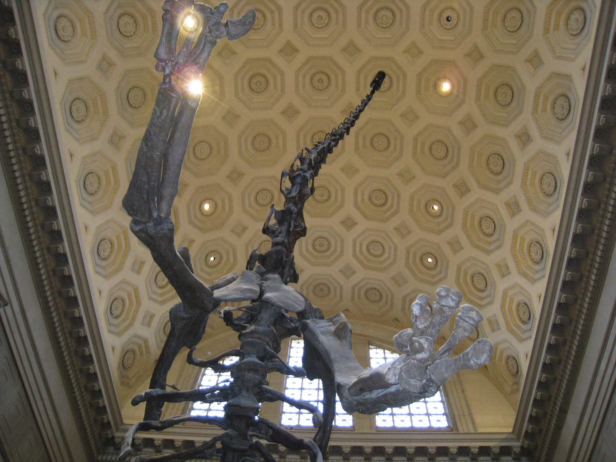 IMG_0948.JPG