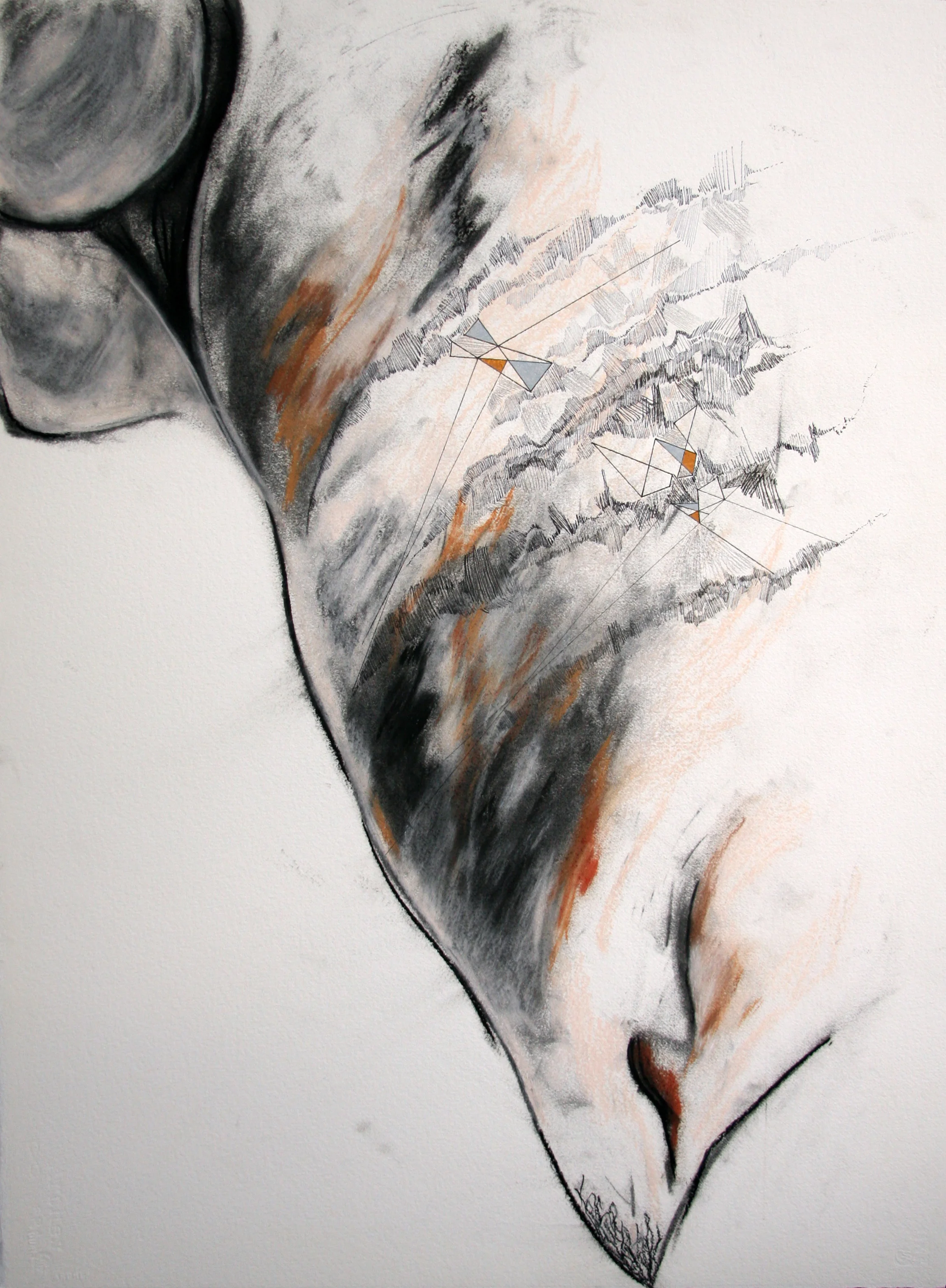 Telian_Rachel_Restored Behavior.jpg