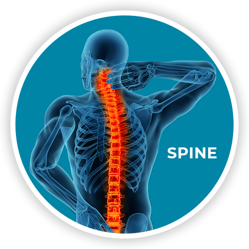 neck and back pain or injury