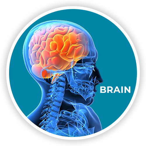 Headaches, head pain or injury