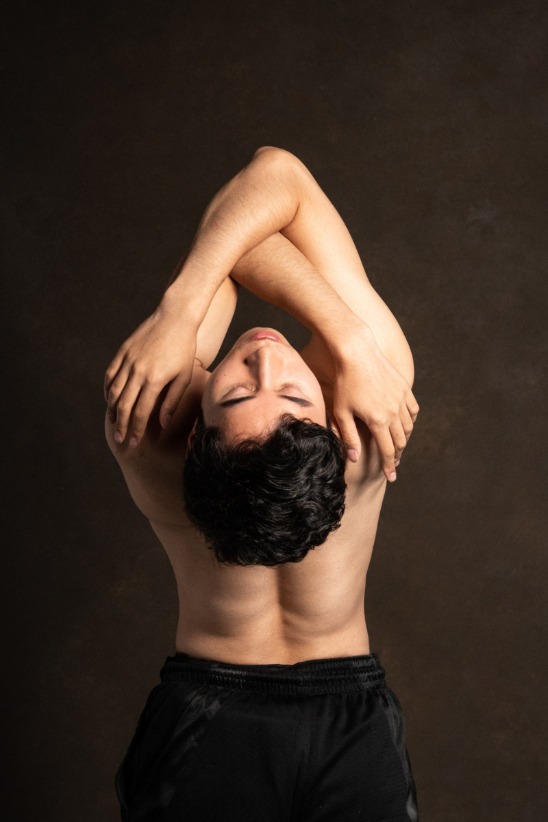 Ballet visual data 7