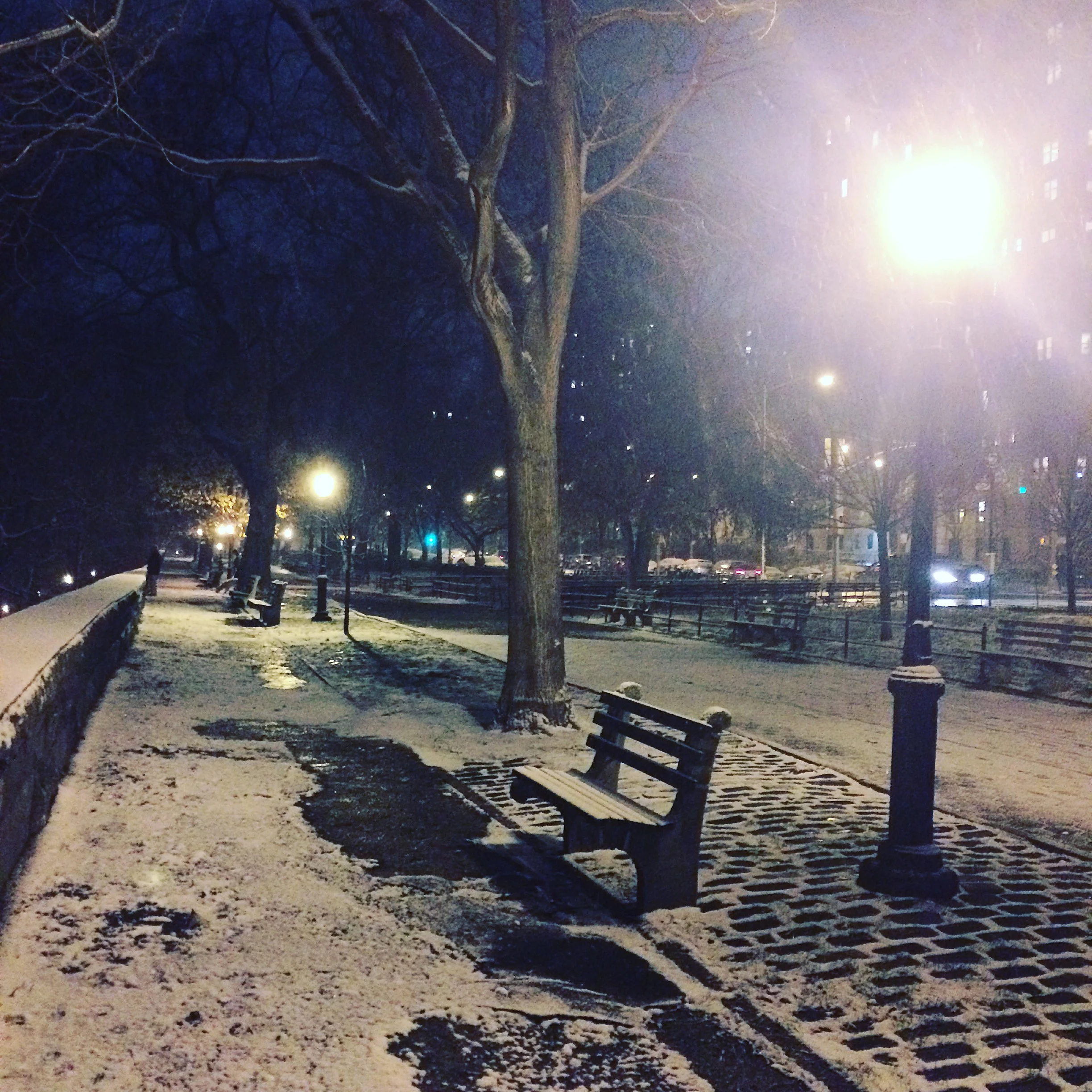 New York in the Snow