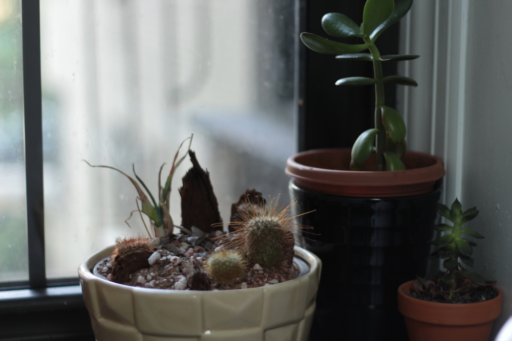 Airbnb living - The pros and cons