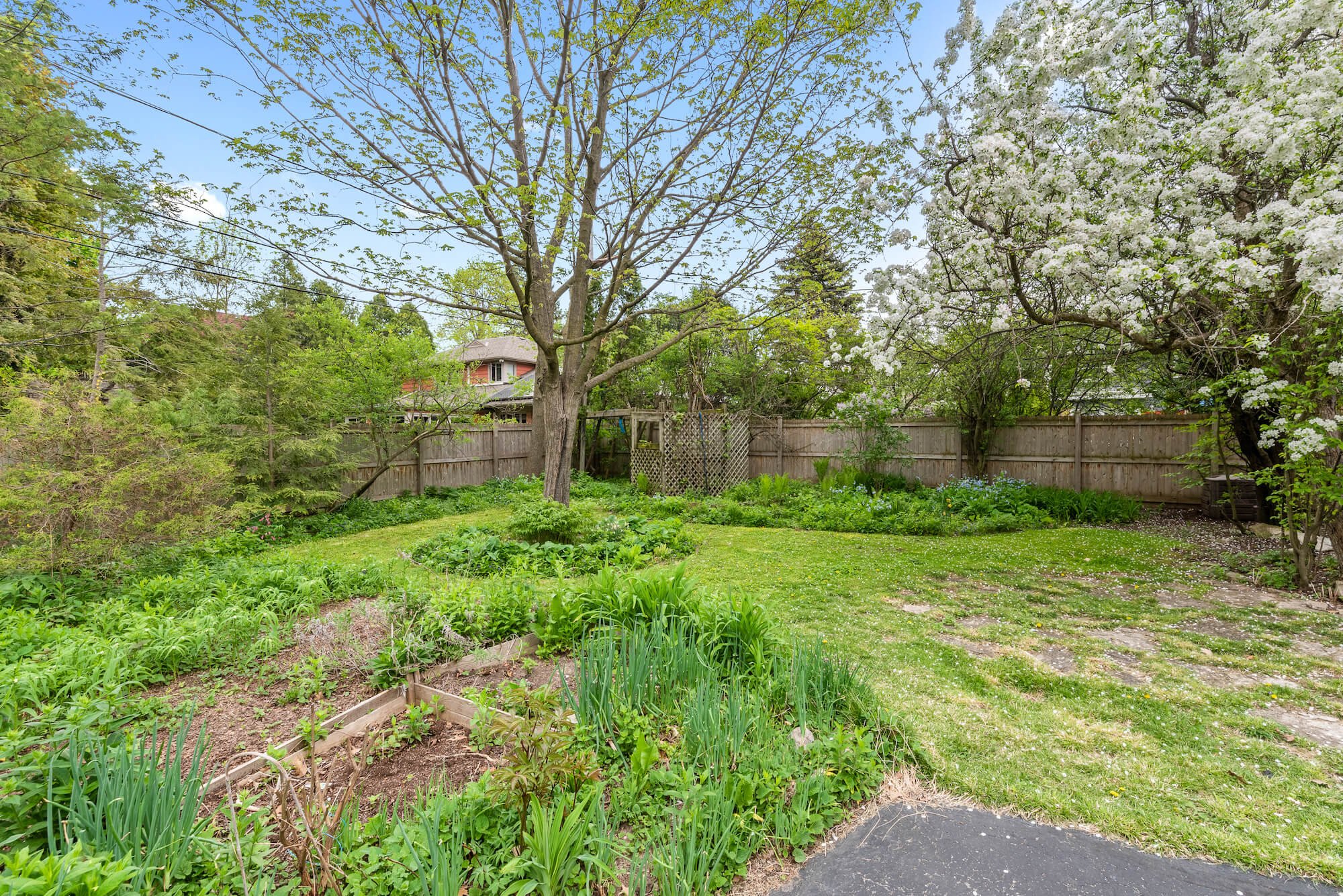 Fenced Back Yard