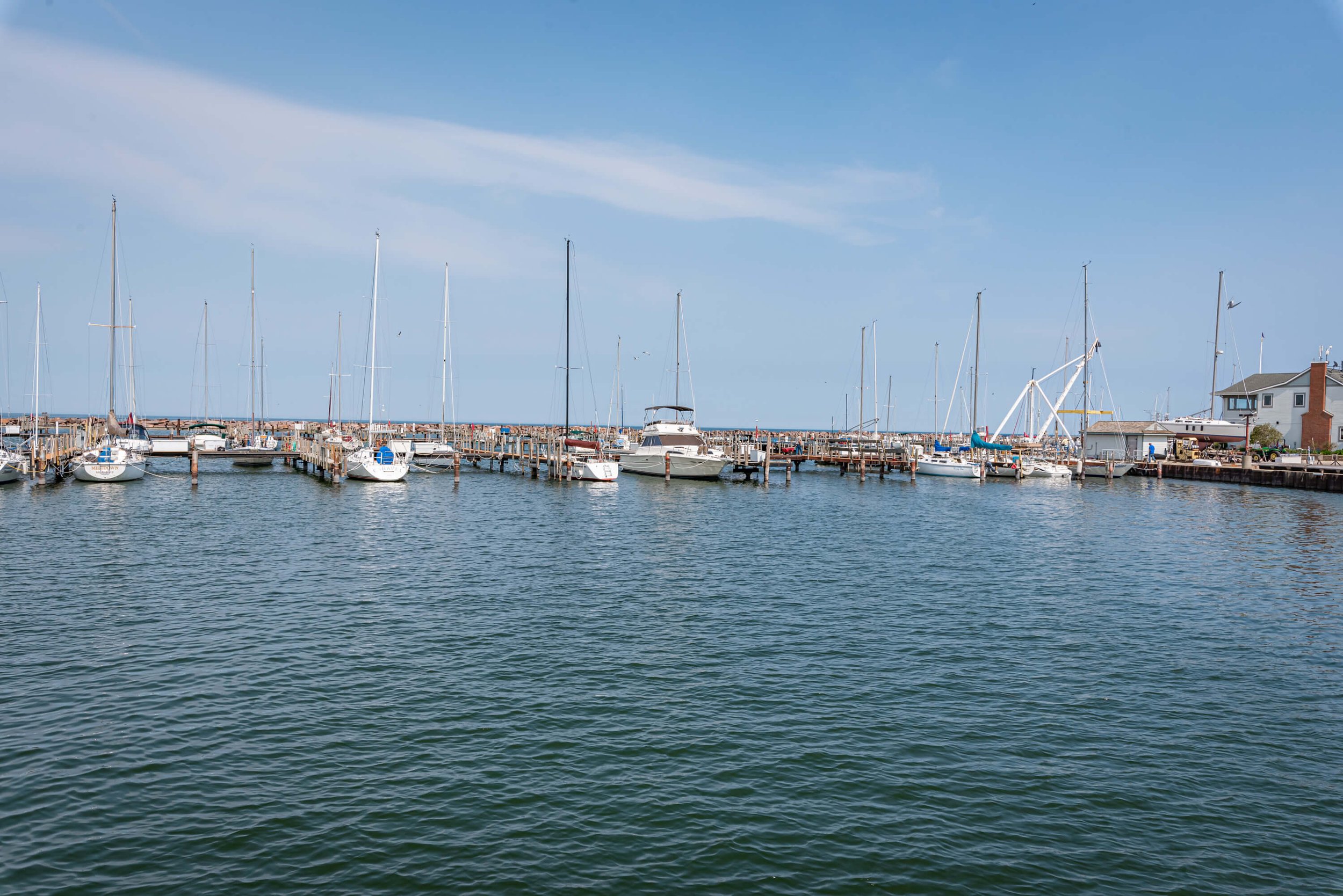 Celebrate Lake Michigan Every Day!