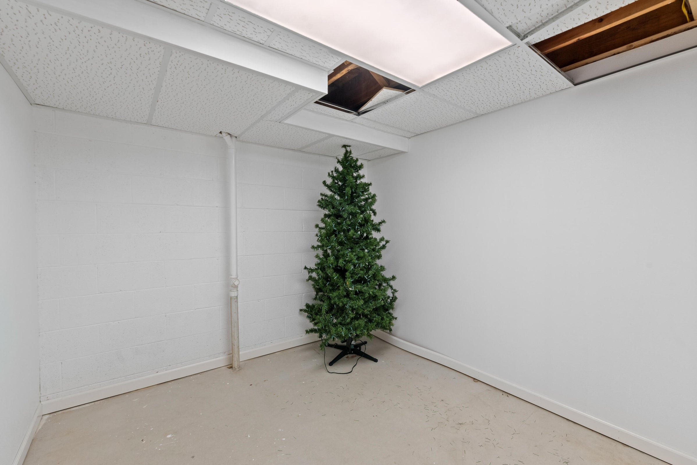 Basement Storage