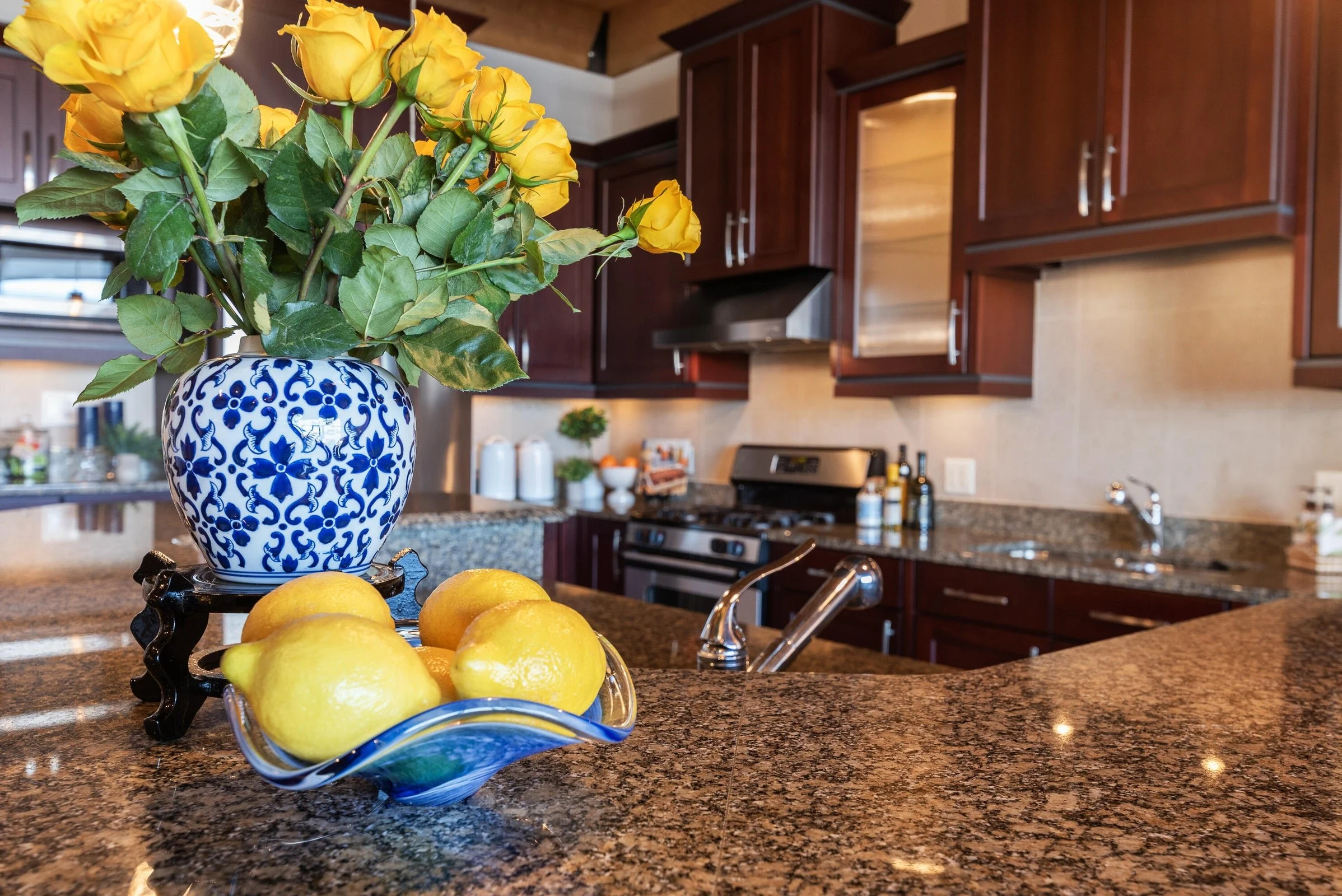 Beautiful Granite Counters
