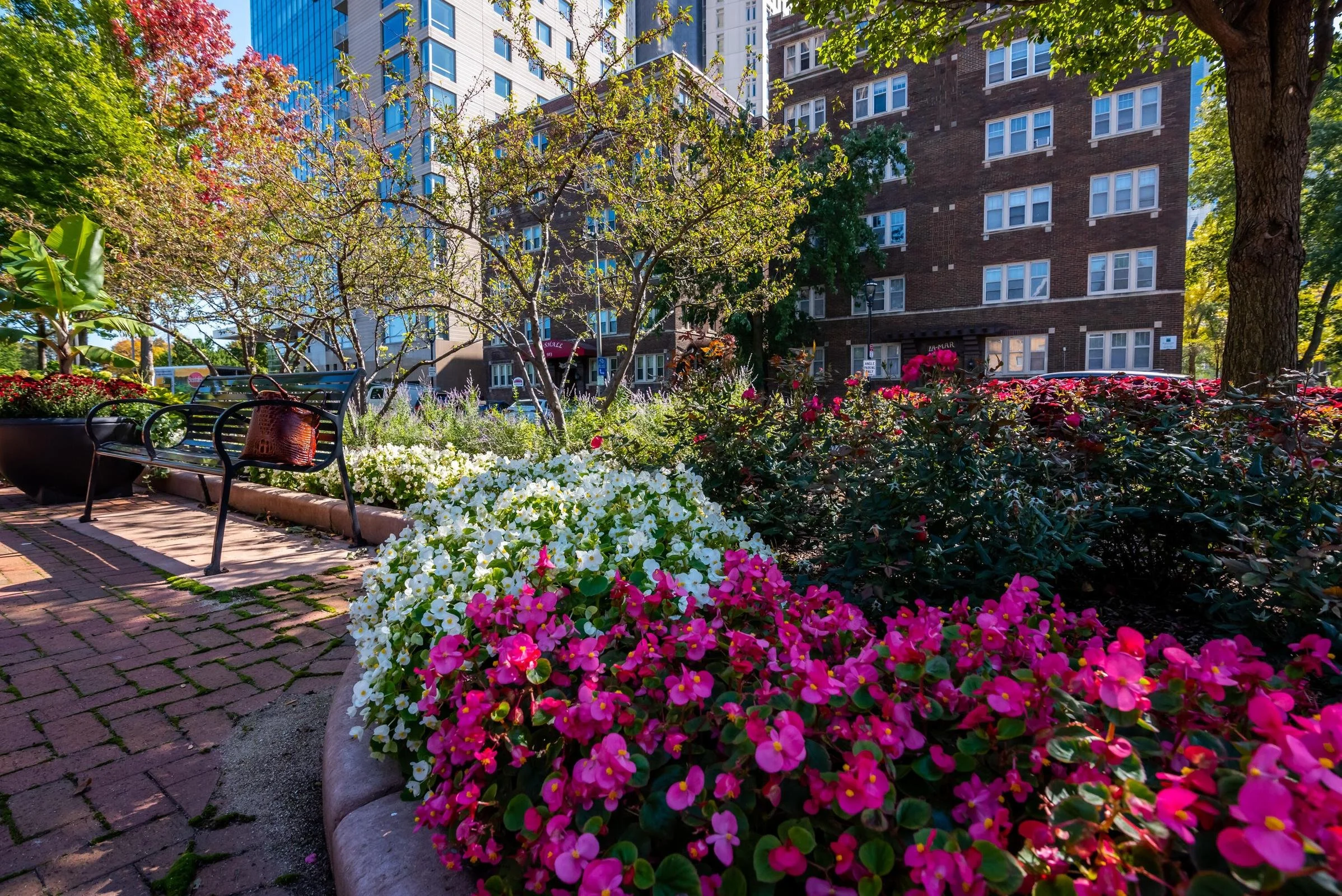 Spring &amp; Summer Brings Endless Color!