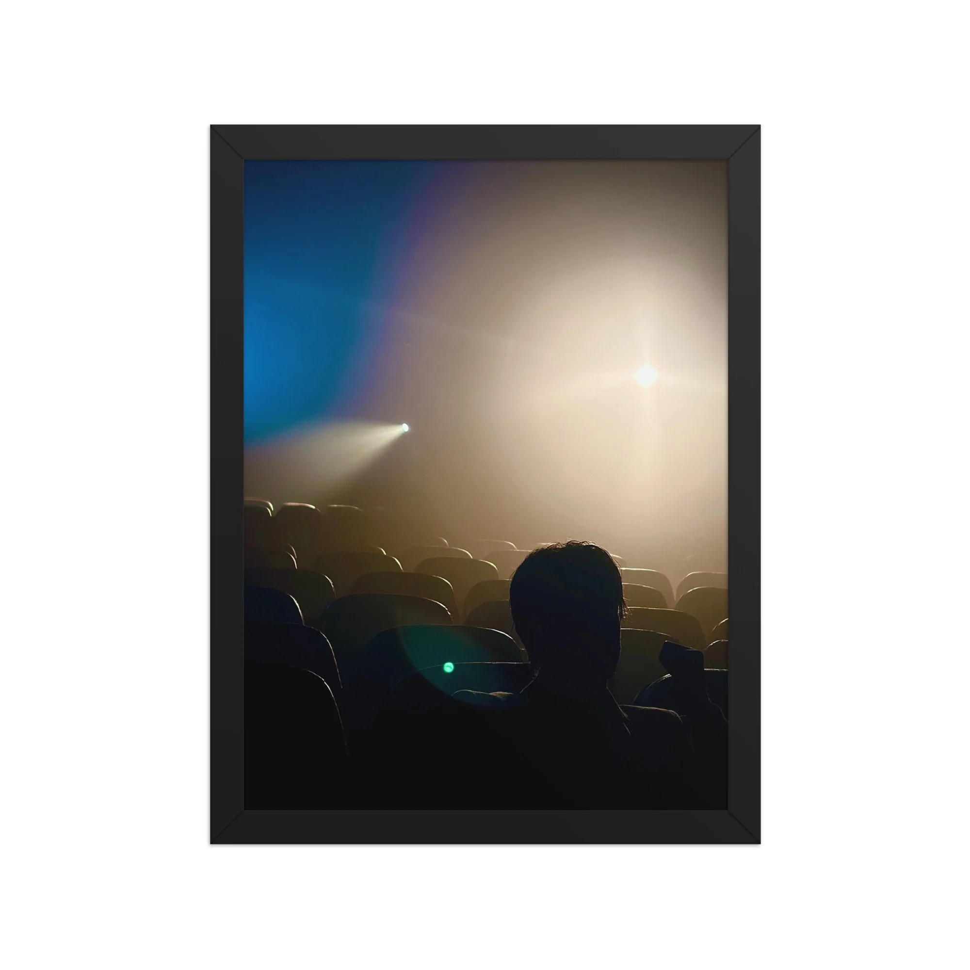 premium-luster-photo-paper-framed-poster-(in)-black-12x16-front-6a5d3b0686fd2.jpg