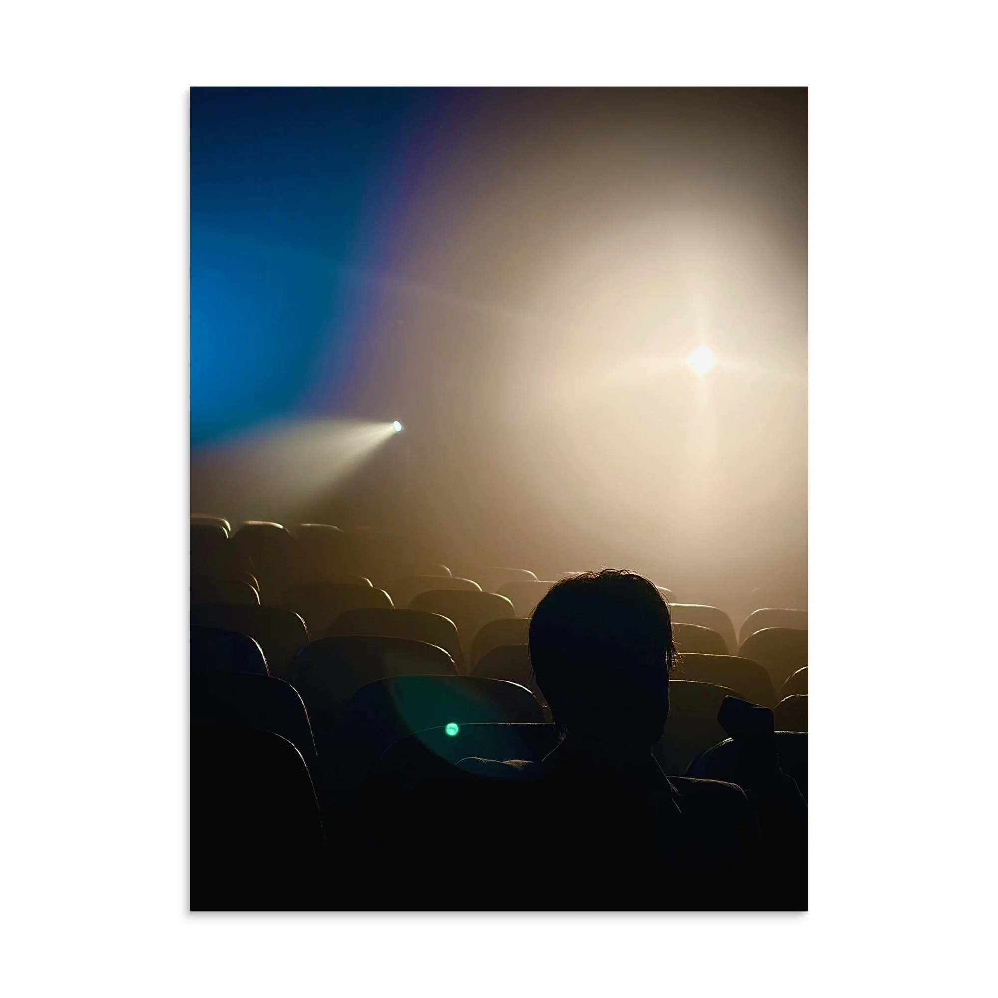 premium-luster-photo-paper-poster-(in)-24x32-front-6a5db8d89f668.jpg