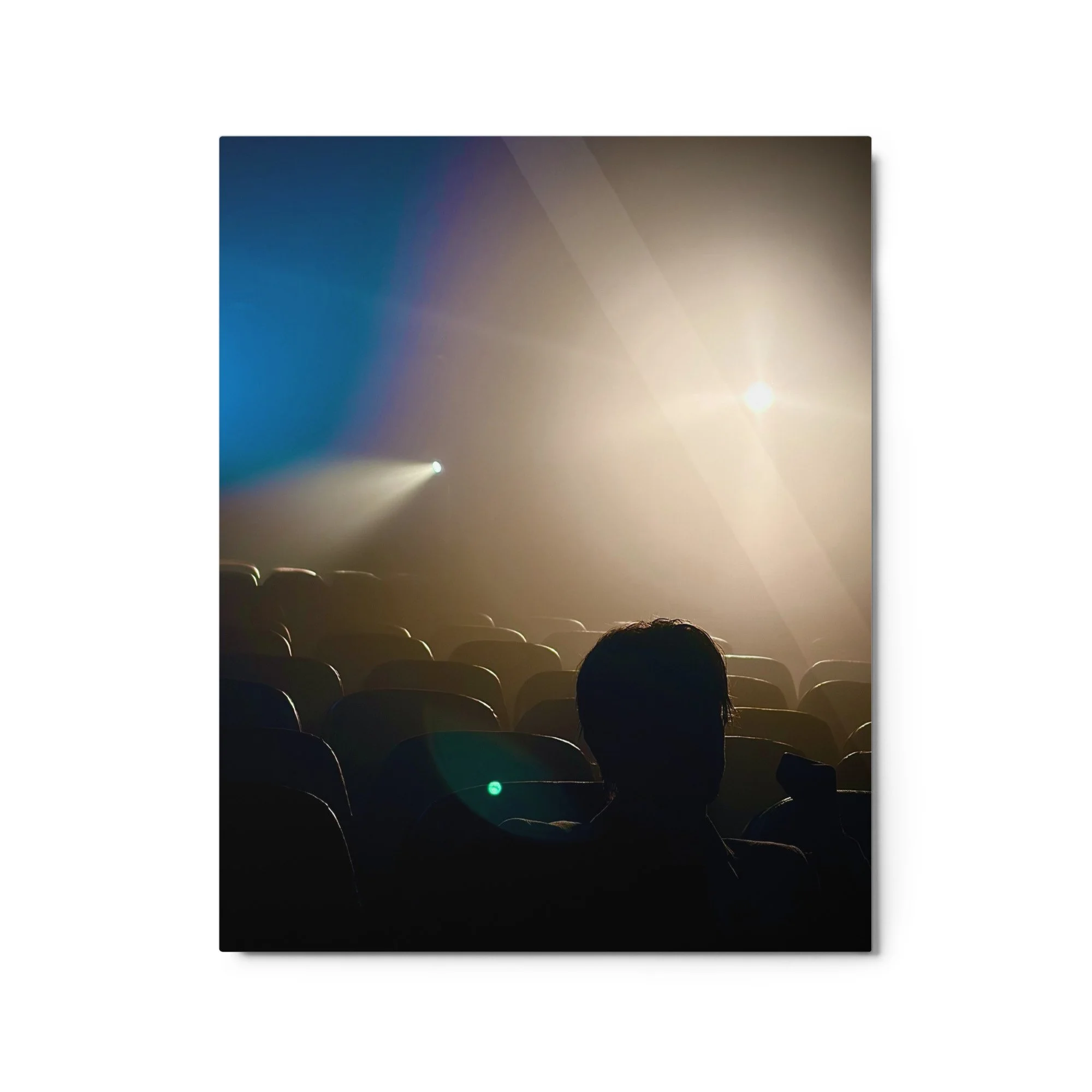 glossy-metal-print-(in)-white-16x20-front-6a63090ebc4c3.jpg