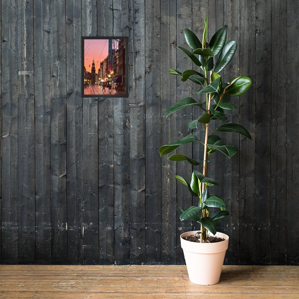 premium-luster-photo-paper-framed-poster-(in)-black-12x16-lifestyle-2-6a643fa1930da.jpg