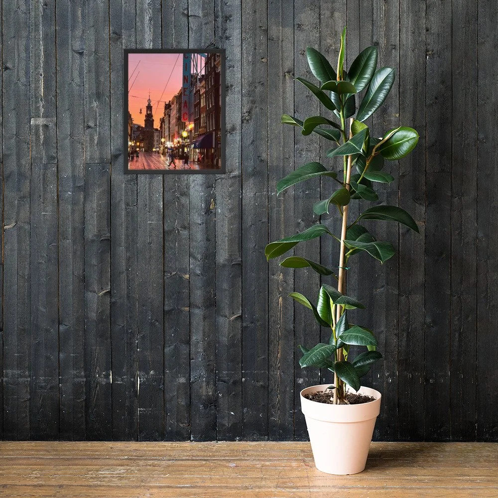 premium-luster-photo-paper-framed-poster-(in)-black-16x20-lifestyle-2-6a643fa193a1b.jpg