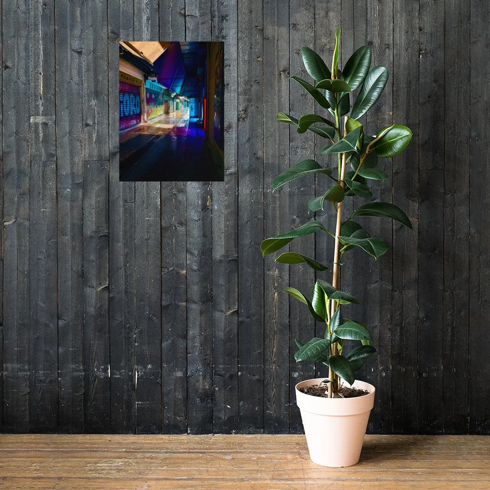 premium-luster-photo-paper-poster-(in)-18x24-lifestyle-2-6a6531102b3cb.jpg