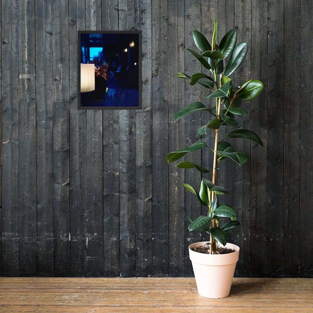 premium-luster-photo-paper-framed-poster-(in)-black-16x20-lifestyle-2-6a65a7e12fd65.jpg