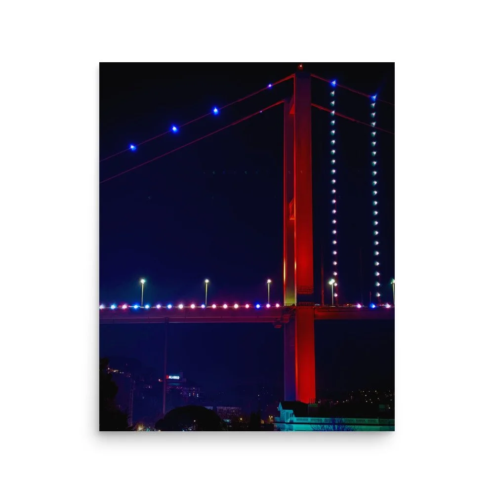 premium-luster-photo-paper-poster-(in)-16x20-front-6a69a822ba472.jpg