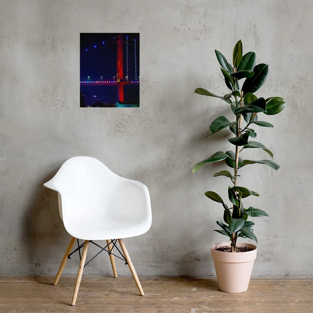 premium-luster-photo-paper-poster-(in)-16x20-lifestyle-1-6a69a822b5537.jpg