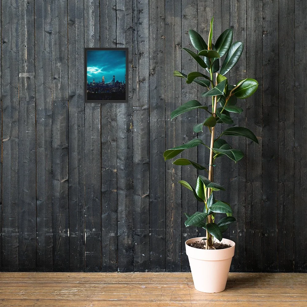 premium-luster-photo-paper-framed-poster-(in)-black-11x14-lifestyle-2-6a6af8d989ada.jpg