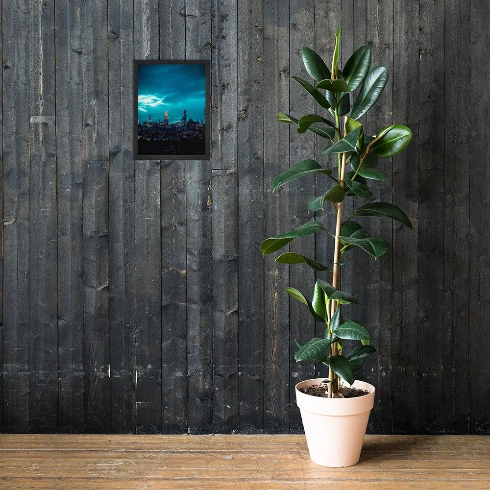premium-luster-photo-paper-framed-poster-(in)-black-12x16-lifestyle-2-6a6af8d98501c.jpg