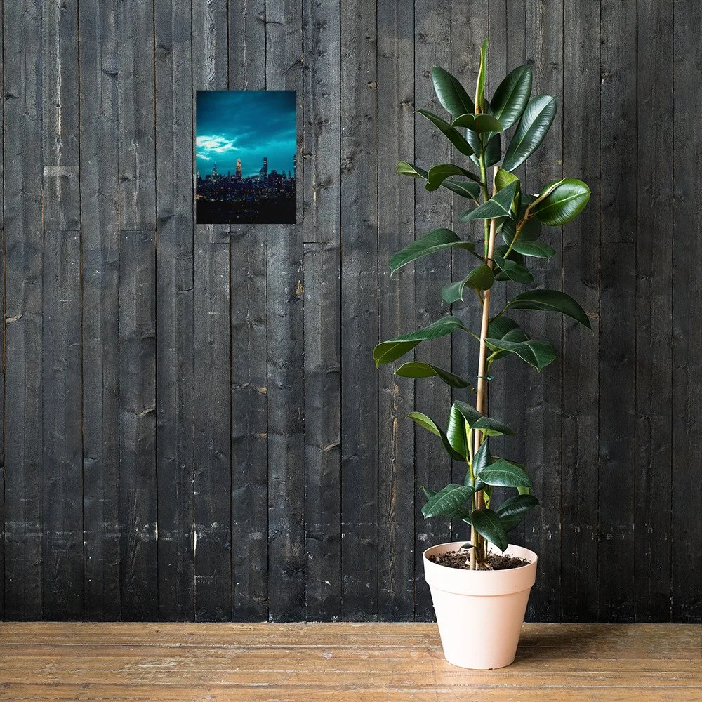 premium-luster-photo-paper-poster-(in)-12x16-lifestyle-2-6a6afa31d37f6.jpg