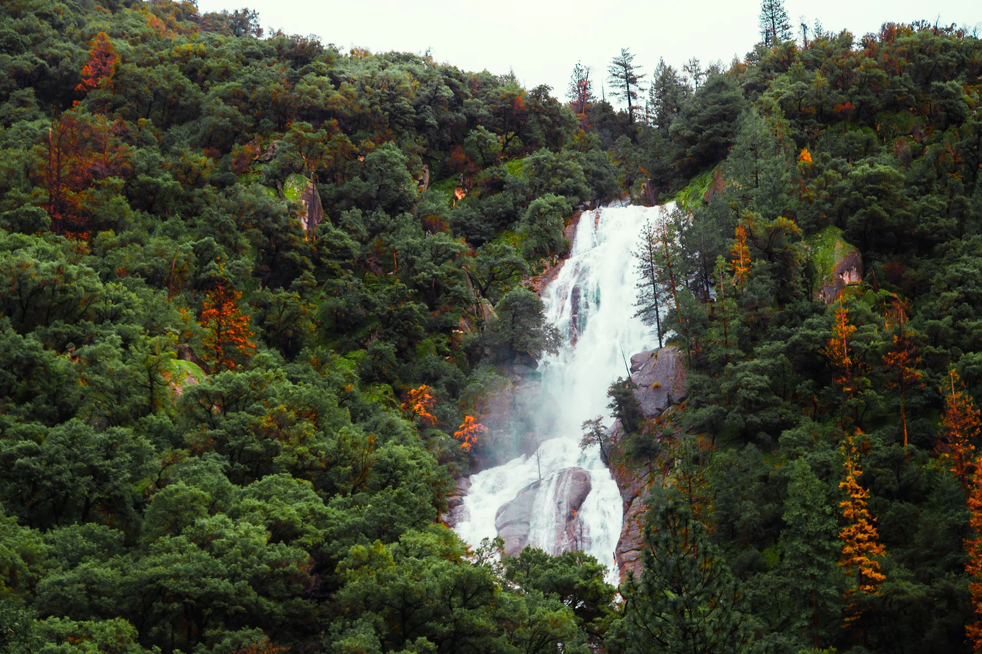 green-waterfall-(1-of-1).jpg