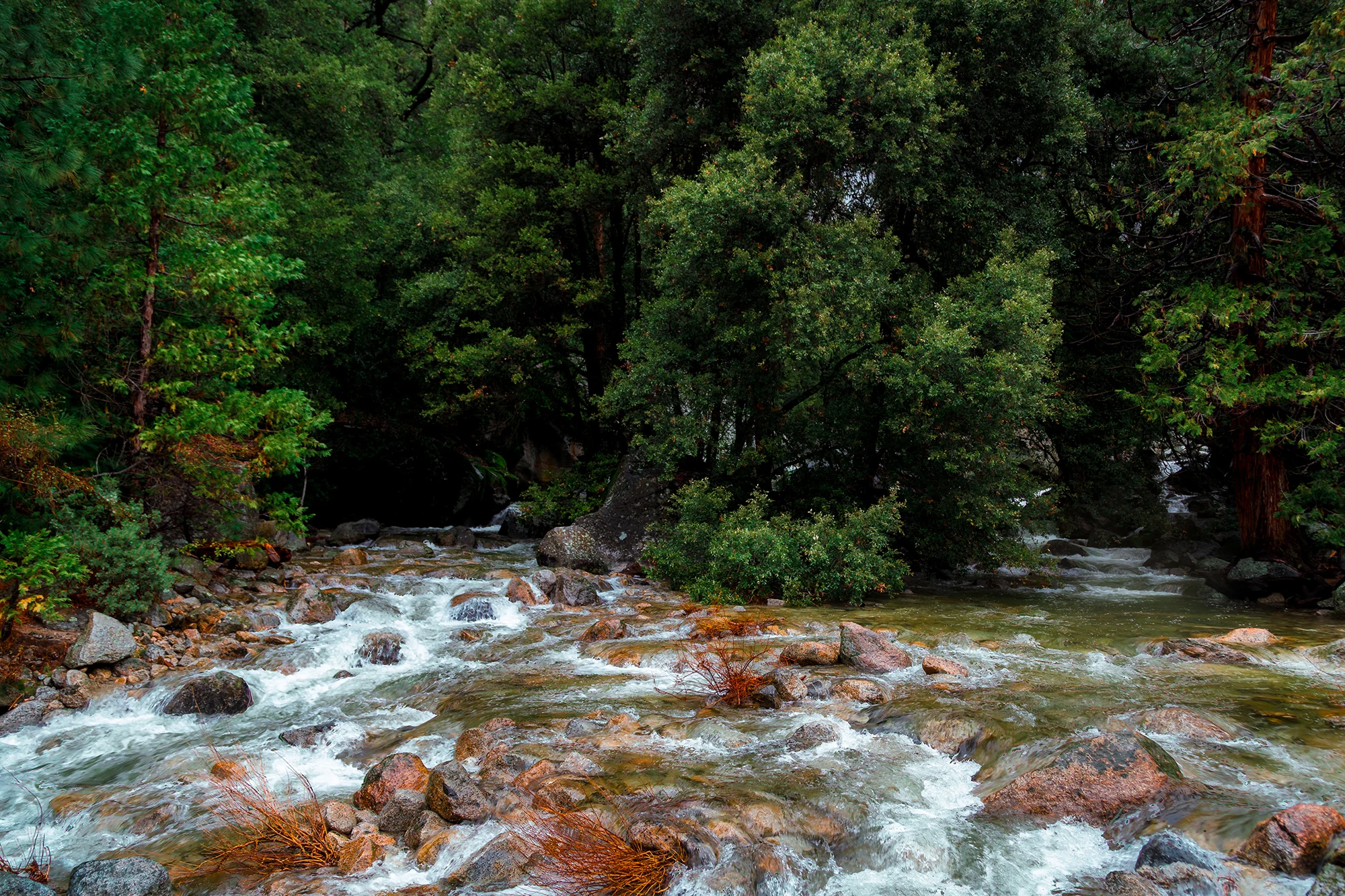 IMG_9049-HDR-2.jpg