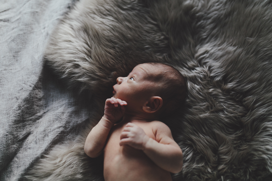 Toronto-Newborn-Photographer-0006.JPG