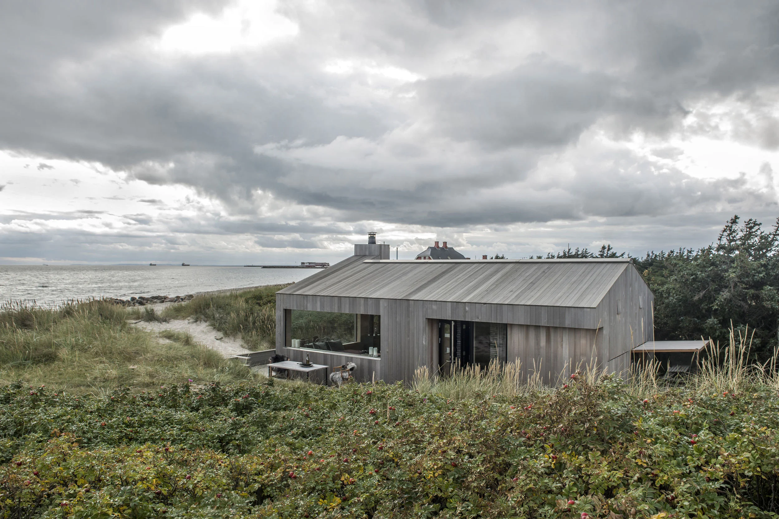 Skagen41.jpg
