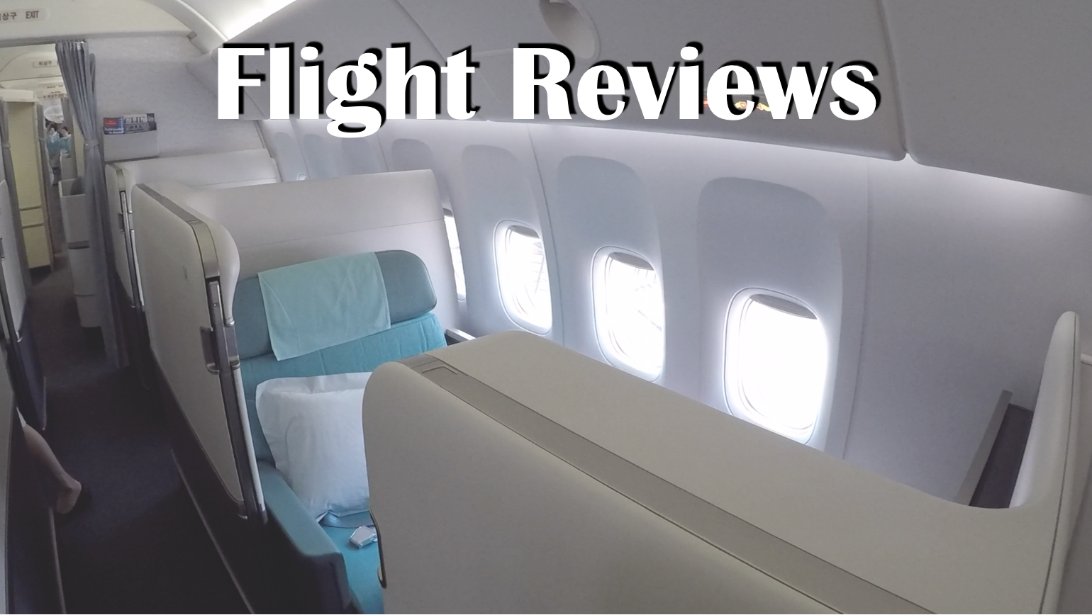 Flight Reviews.png