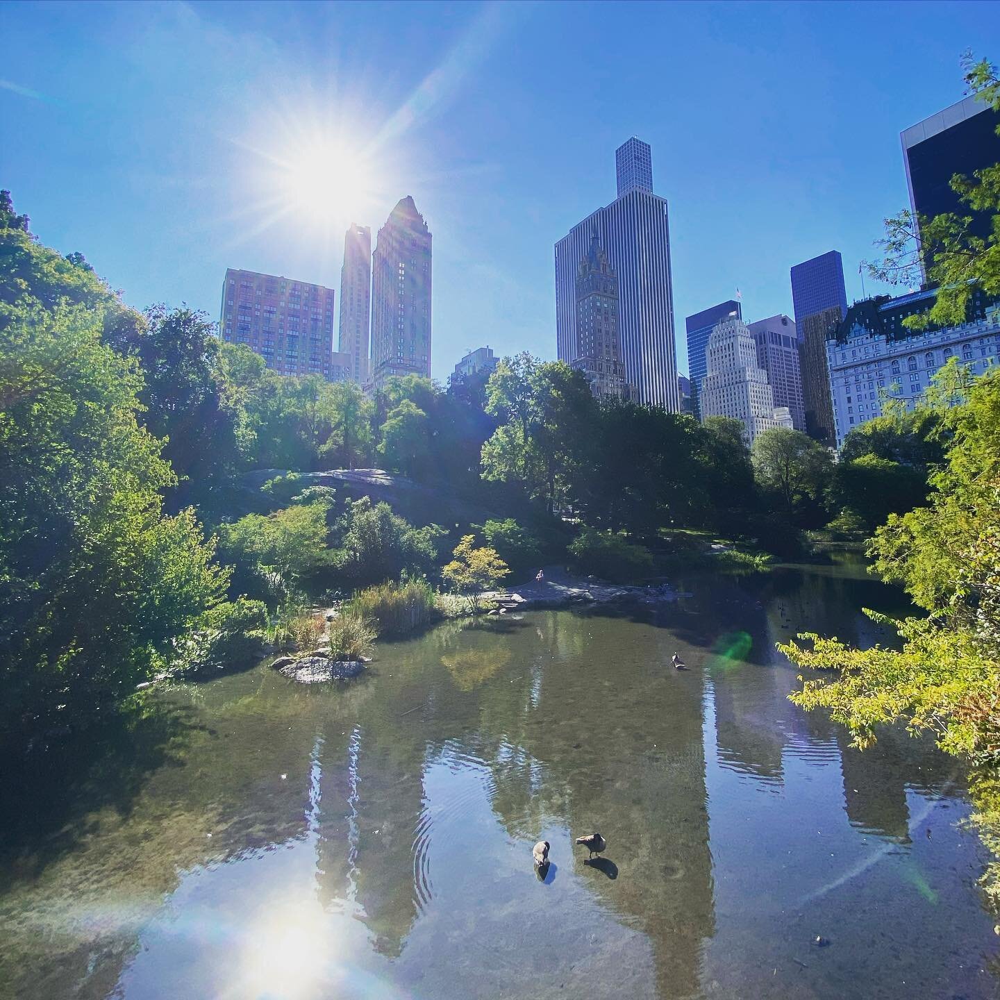 Nice day in NYC - #centralpark #nyc  #newyork #centralparklake #avgeek #lake #park #instapassport #travelgram #travel #traveling #travelers #explore #exploring #wander #travelbug #travelblogger #travelphotography #travellife #travelpics #traveladdict