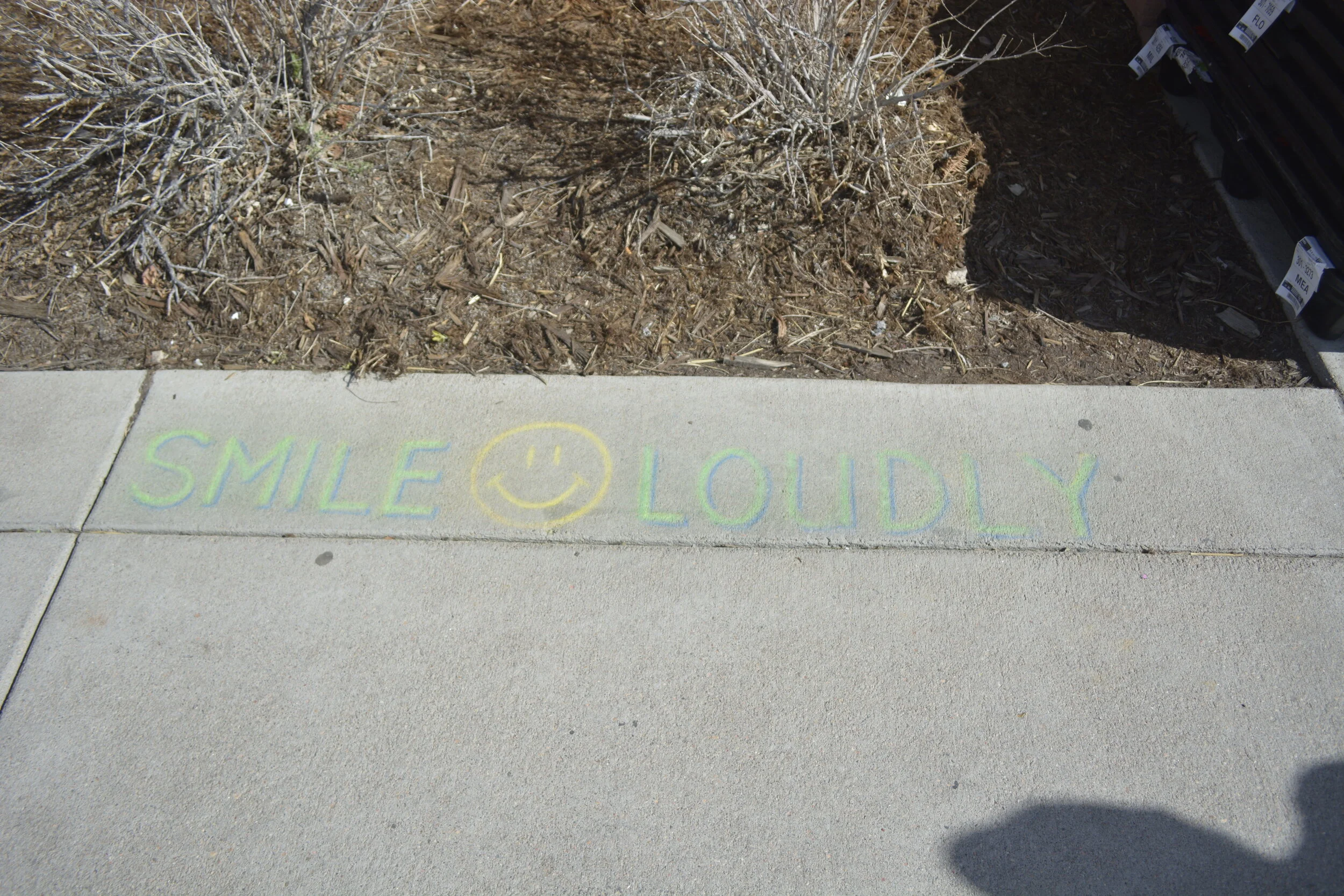 _DSC0907.jpeg