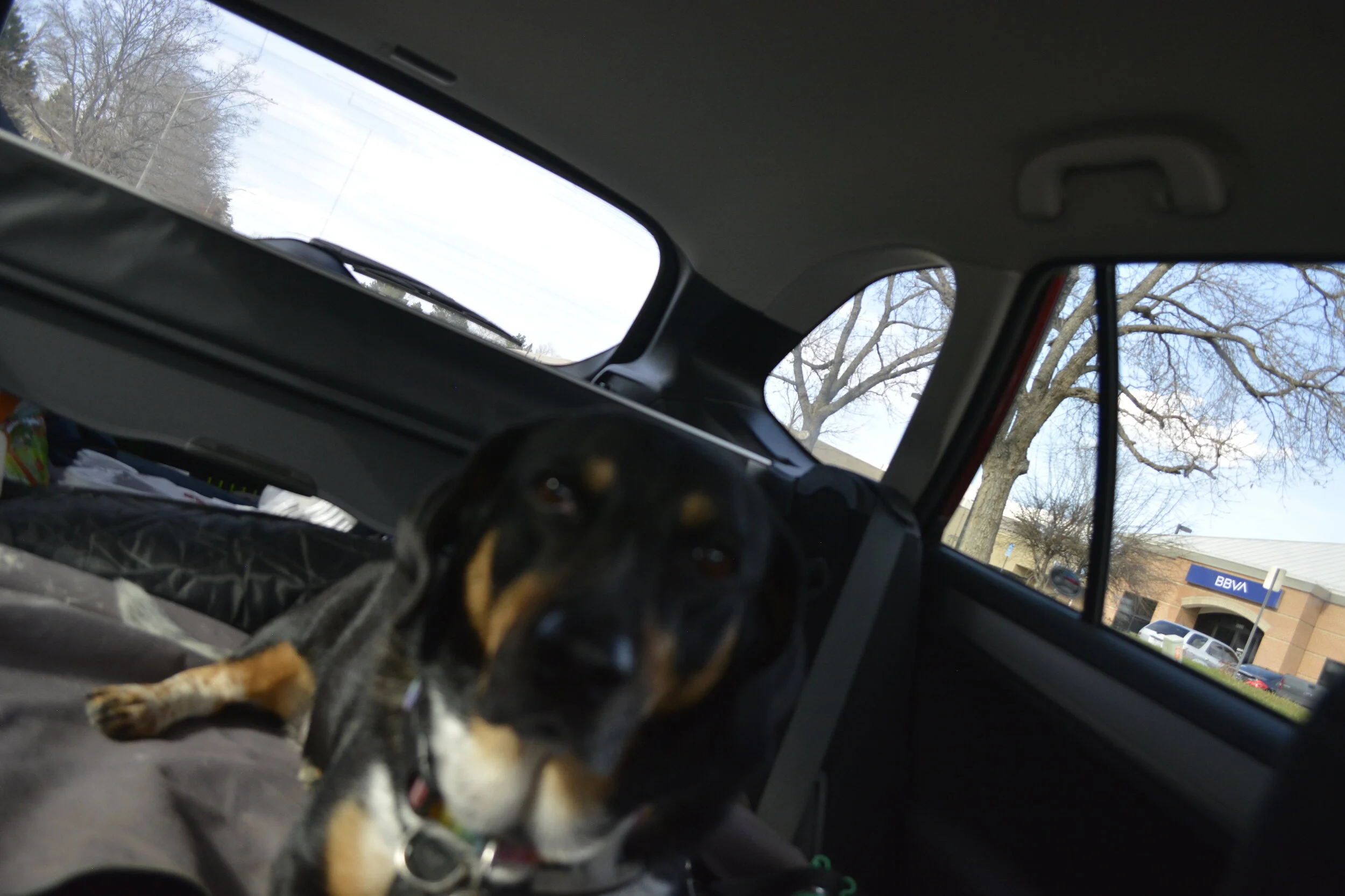 _DSC0848.jpeg