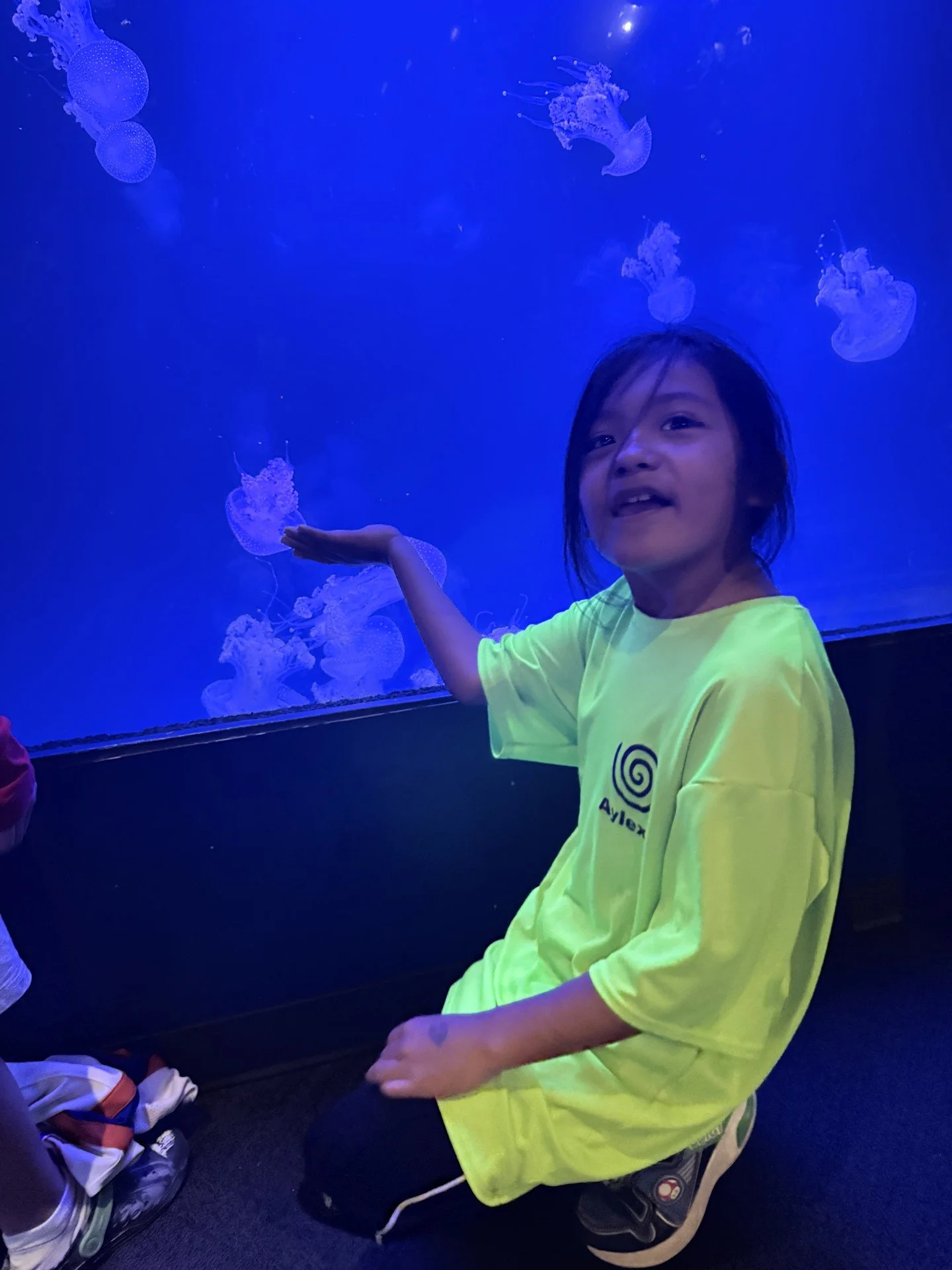 77f8fe2a-1419-43ef-90a1-b205a6155e3c.jpeg