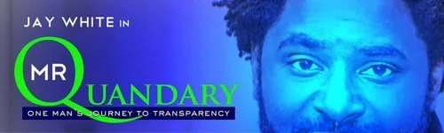 Mr. Quandary Stage Play