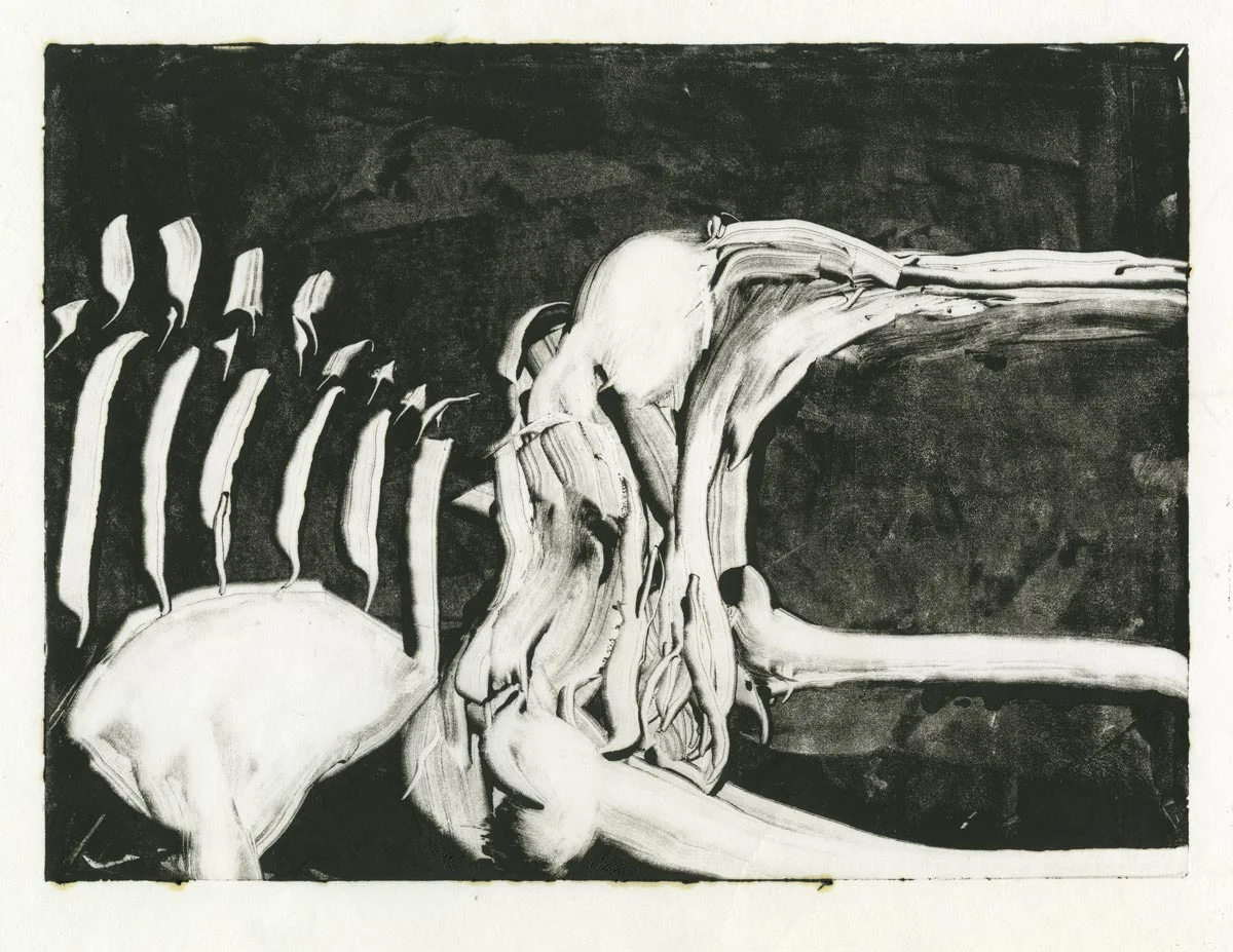 Right Whale