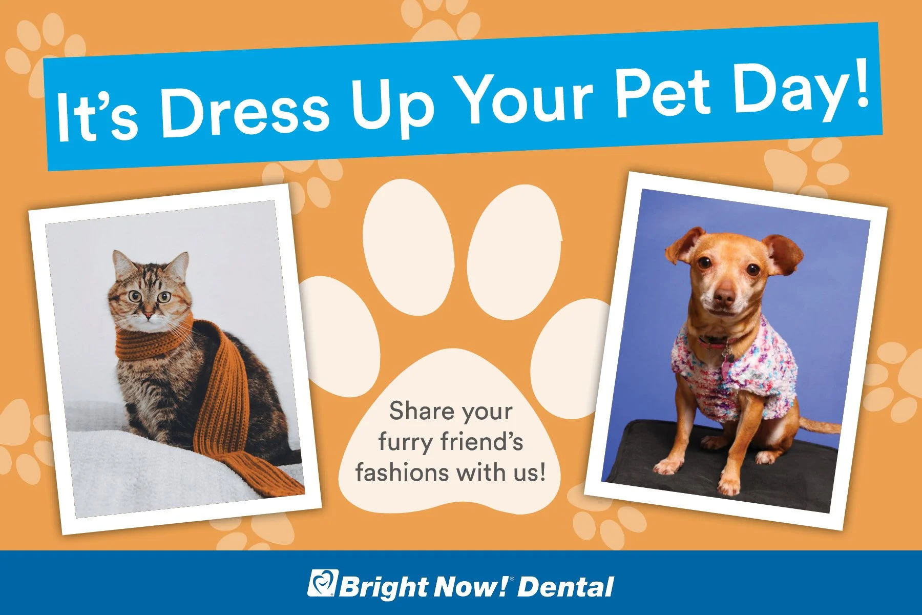Dress Up Your Pet Day SB 22-BrightNow.jpg