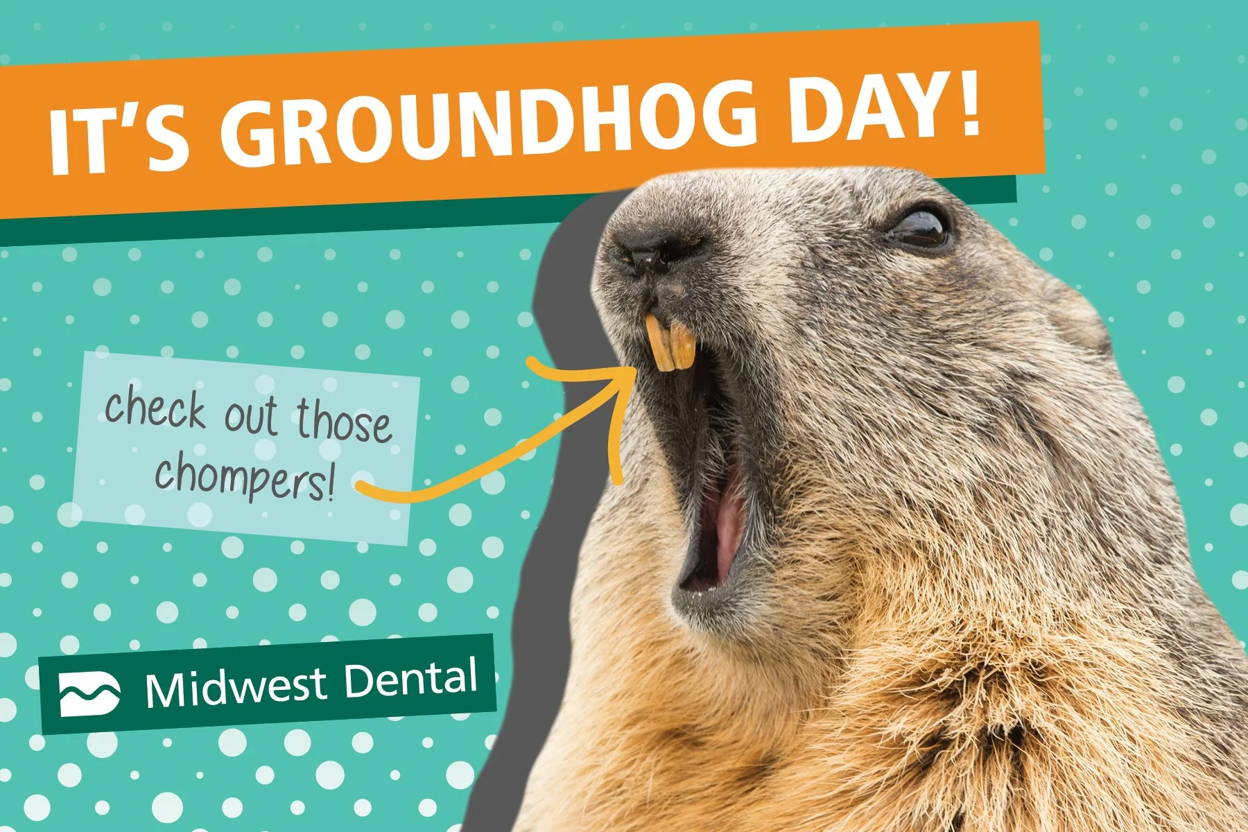 Groundhog Day 23-Midwest.jpg